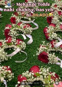 For Wedding And Haldi Function
