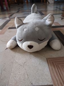 CAT SOFT TOY