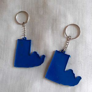 Brand New PACK OF 2 Keychains