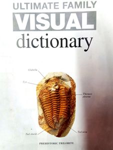 Dictionary Visual Everything In This Pedia I