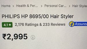 3-1 Hairstyler