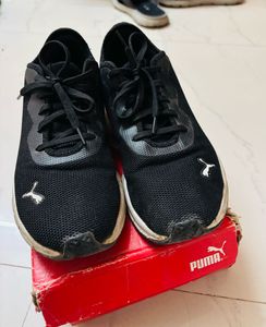 Puma Sneakers Cum Sports Shoes