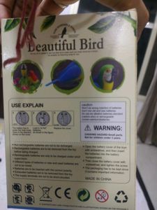 birds 🐦