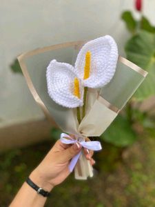 Calla Lily