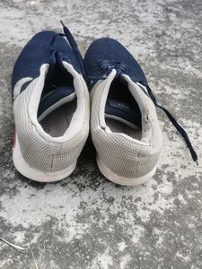 Nue डिज़ाई