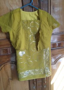 Elegant Embellished Saree