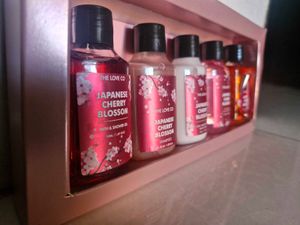 Japanese Cherry Blossom Discovery Kit (Pack of 5)