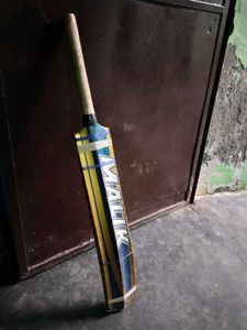 Cricket Bat