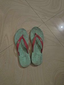 Blue Slipper