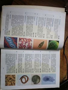 Invertebrate Zoology By EL JORDAN AND PS VERMA