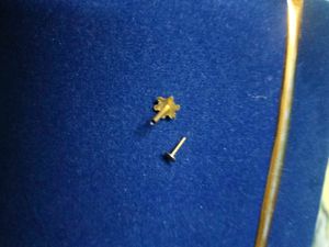 Gold Nose Pin