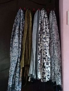 Assorted Scarves - Floral, Animal Print