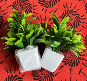 artificial plants
