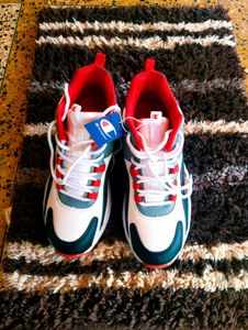 Champion Shoe Sneakers 👟