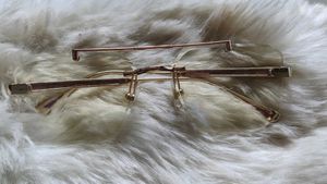Rose Gold Rimless Glasses