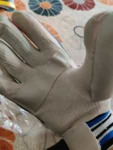 Cricket Hand Gloves