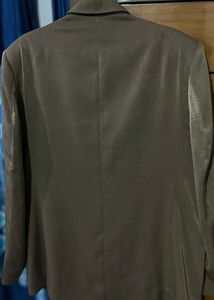 Brown Colour Suit