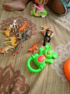 Toy