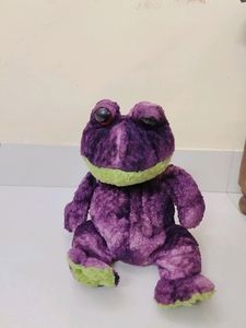 A Soft Toy Frog