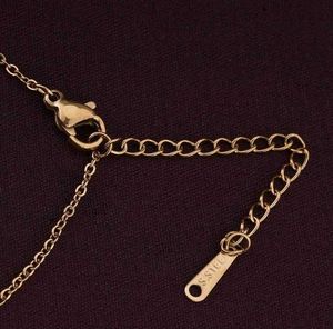 Palmonas Gold Plated Minimal Necklace
