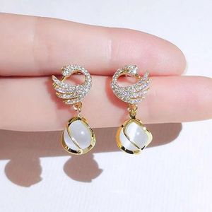 Korean Earrings - Combo of 4