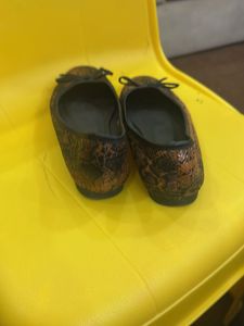 Stylish Urbane Ballerinas