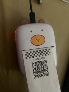 Printer Mini/pocket  And Return