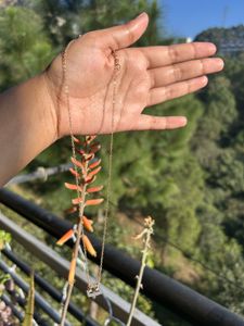 golden libra sign chain