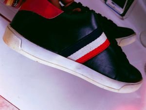 Canvas B