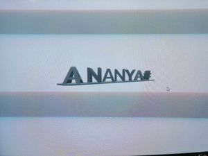 3d Double Name You Can Ask Whatever Yo Want