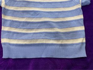 Blue Stripped Crop Top