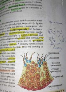 Biology, Physics textbook of 12th standard