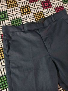 Blue Slim Fit Pant