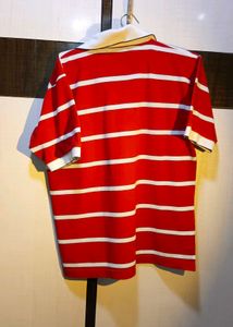 Striped Red Polo T-Shirt