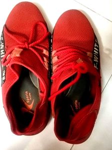 Sport Shoes