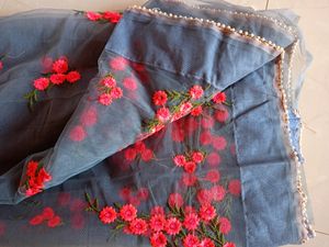 Saree No Blouse