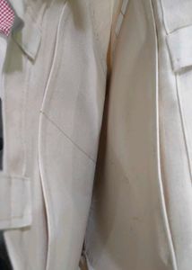 Beige Spacious Office Bag