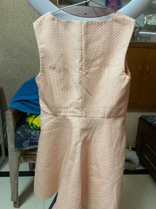 Imported Fabric Peach Dress