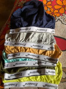 Evara Panties