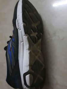 Campus Shoes