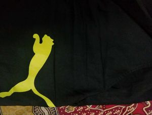 Puma Sports Shorts