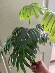 Artificial Plant