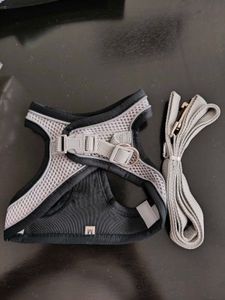 Pet Harness with Leash