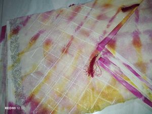 Saree Multi Colour