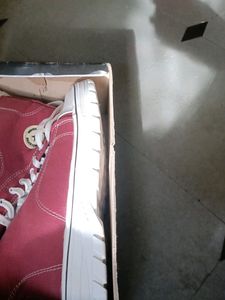 Men Shoe