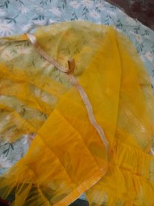 Orange Net Dupatta