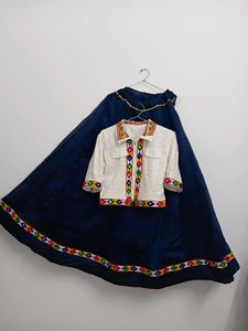 Ethnic Lehenga Choli Set