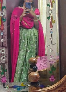 Elegant Green & Pink Lehenga Choli