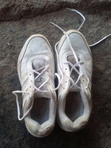 Nice White Campus Shoes.
