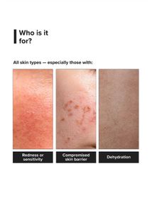 Minimalist B12 Repair Moisturizer